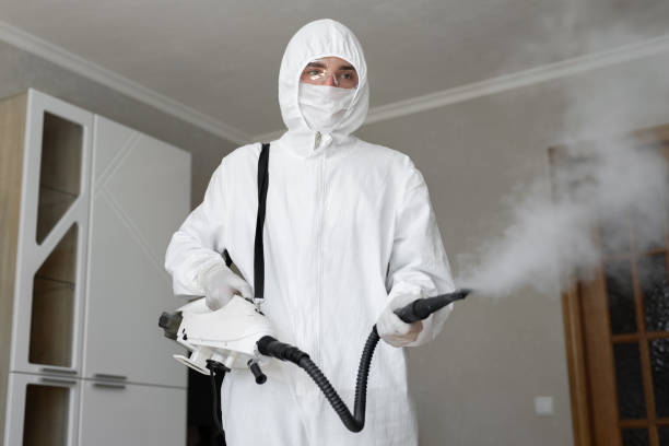 Best Mold Prevention Services in West Odessa, TX